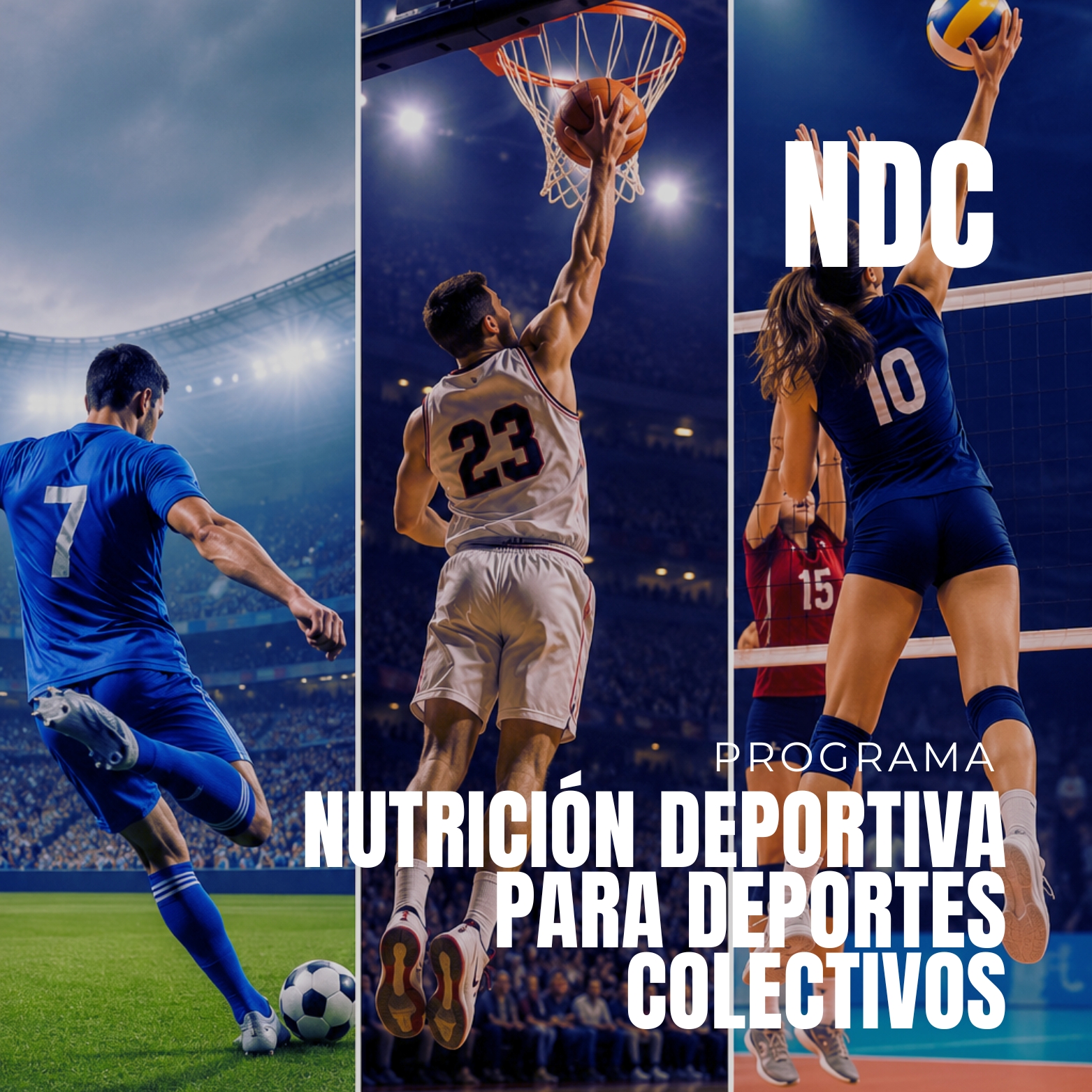 DeportesColectivos